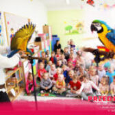 Piraci z kolorową, sympatyczną papugą w Przedszkolu 😍