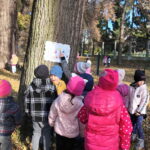 Wielkie poszukiwanie maleńkich Ciszaków!  Gra terenowa w parku‍♀️‍♂️