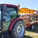 Fantastyczna atrakcje 🪁🛝🚜🛟, mnóstwo śmiechu, radości i fajnej zabawy! Wyprawa pełna niespodzianek ❤️🤸‍♂️