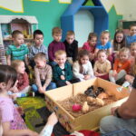 💚🌼🐣Żywa lekcja przyrody💚💚 to nasza ulubiona forma zajęć!🌱Urocze pisklęta, zachwyciły wszystkich.👀💕😍🥰